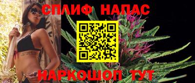 бошки Будённовск