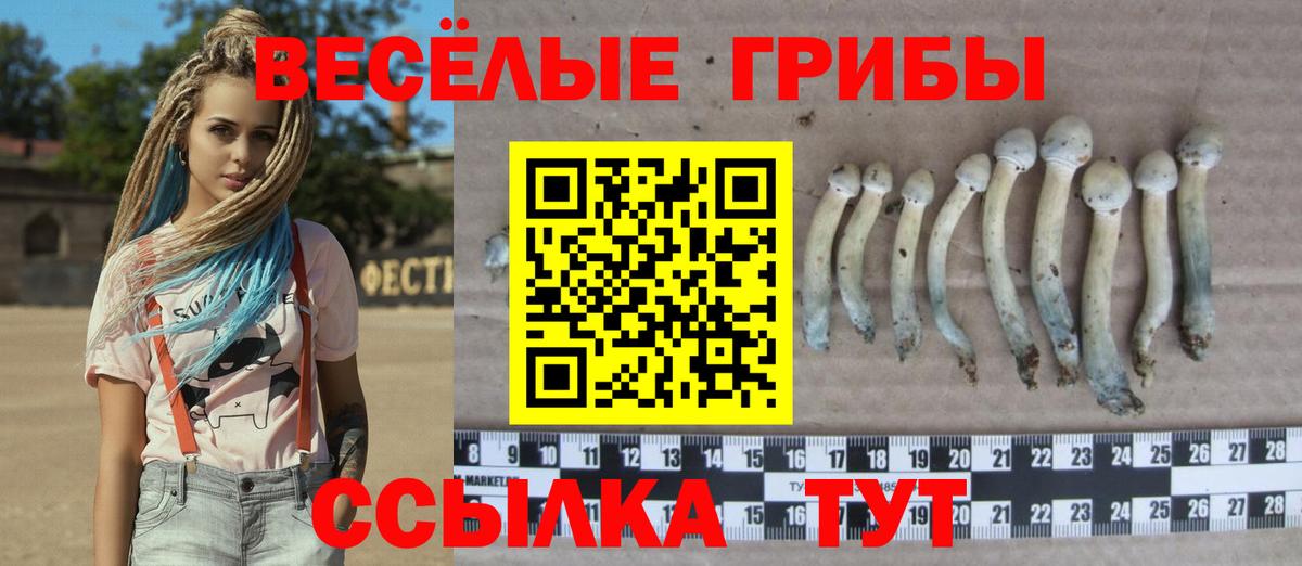 Псилоцибиновые грибы Psilocybine cubensis  Вход с VPN  Чусовой 
